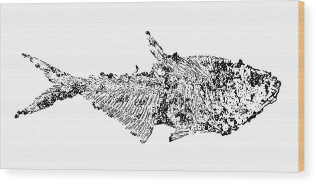 Black And White Wood Print featuring the digital art Fossil Fish Illustration by Pete Klinger