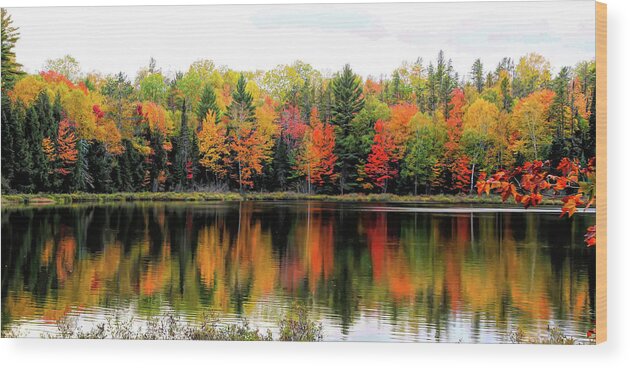 Michigan Wood Print featuring the photograph Hovey Lake Reflections by Cheryl Strahl