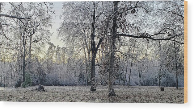 Historic Wood Print featuring the photograph Icy Morning at Silverbrook Gateway by GeeLeesa