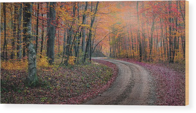 Arkansas Wood Print featuring the photograph Misty Lane by David Downs