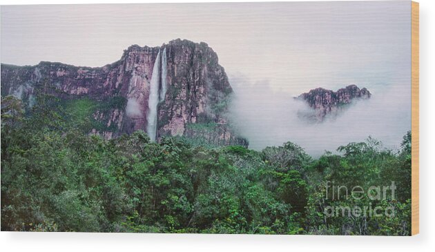 Dave Welling Wood Print featuring the photograph Panorama Angel Falls Canaima Np Venezuela by Dave Welling