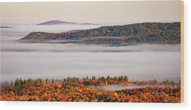 New England Wood Print featuring the photograph Sea of Fog #5817 by Dan Beauvais