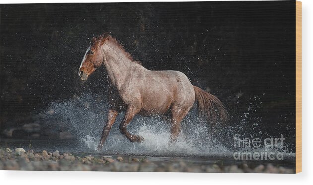Horse Wood Print featuring the photograph Strawberry Roan Crossing by Lisa Manifold