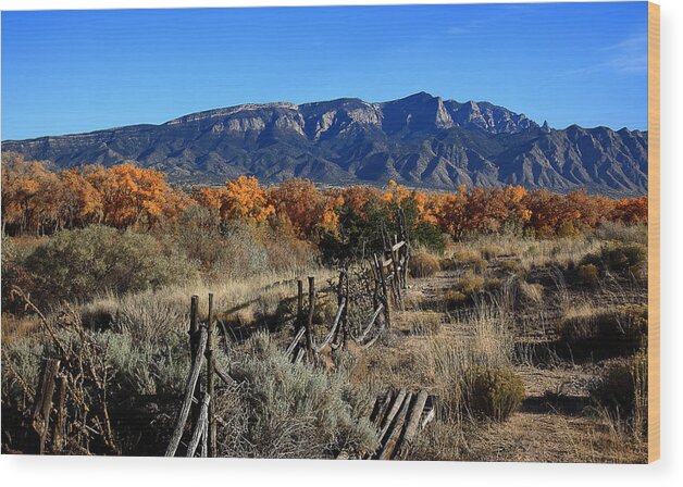 Albuquerque Wood Print featuring the photograph Autumn in New Mexico by Anthony Sekellick