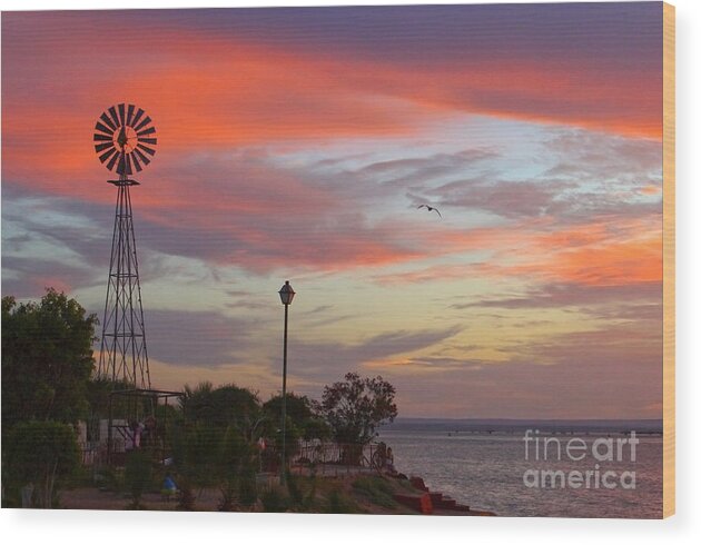 Seascape Wood Print featuring the photograph Windmill by the Sea by Robert McKinstry