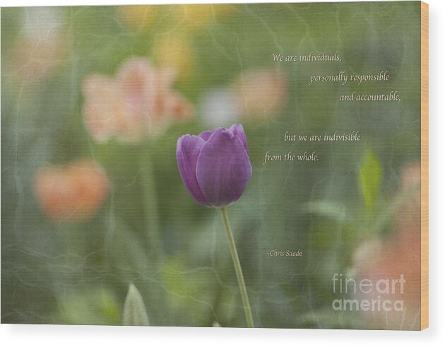 Tulip Wood Print featuring the photograph Indivisible by Ginger Wagoner