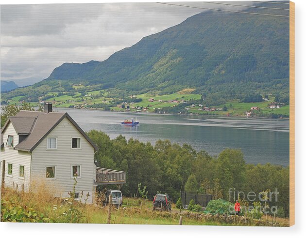 Norway Wood Print featuring the photograph Life on the Fjord by Ankya Klay