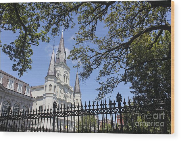 St Louis Cathedral In New Orleans Wood Print featuring the photograph St Louis cathedral in New Orleans New Orleans 18 by Carlos Diaz