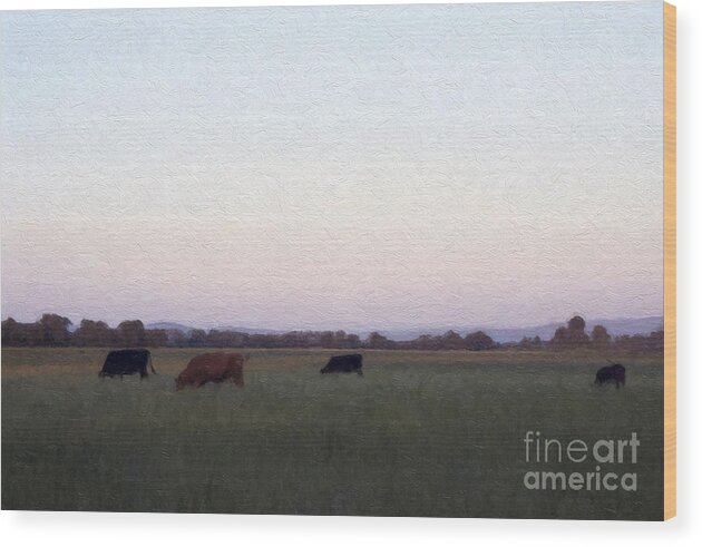 Cattle Wood Print featuring the photograph The Kittitas Valley II by Susan Parish