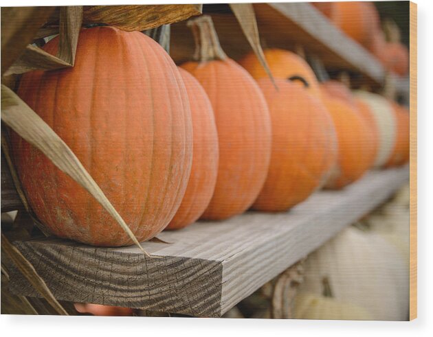 Alep Wood Print featuring the photograph Pumpkins on a Shelf by At Lands End Photography