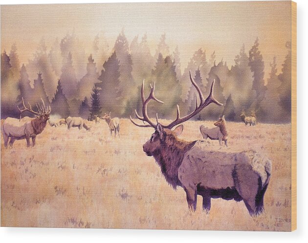 Elk Wood Print featuring the painting Songs of September by Tim Joyner