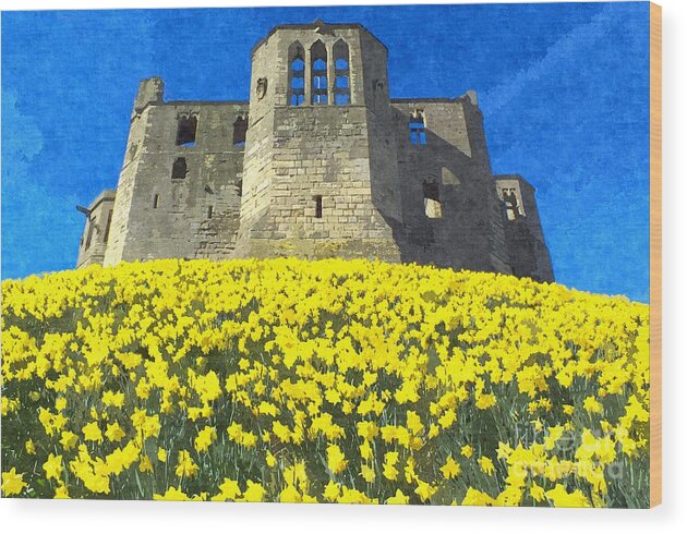 Warkworth Castle Wood Print featuring the photograph Warkworth Castle Daffodils Photo Art by Les Bell