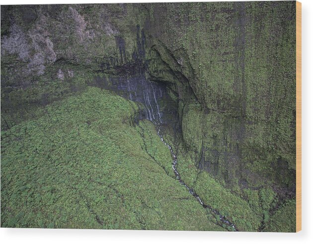 Kauai Wood Print featuring the photograph Weeping Wall KAUAI #2 by Steven Lapkin