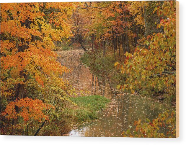 Autumn Wood Print featuring the photograph A Quiet River in Fall by Linda McRae