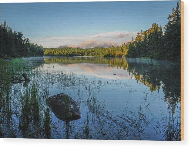 Adirondack Forest Preserve Wood Print featuring the photograph Adirondack Wild by Bob Grabowski