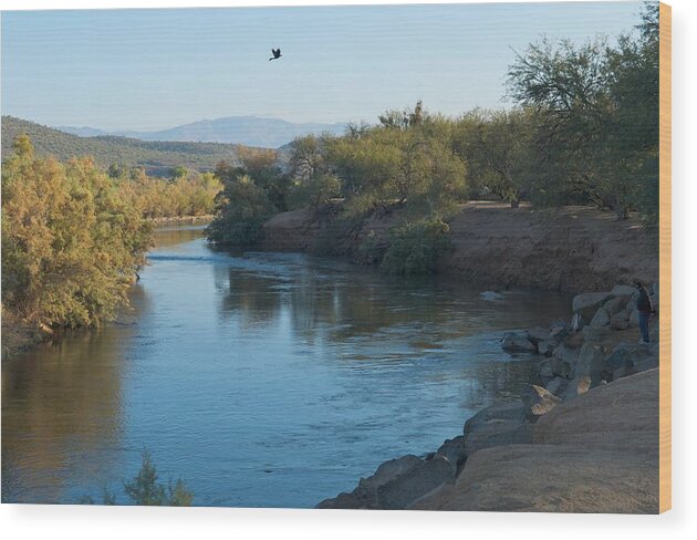 Arizona Wood Print featuring the photograph Along the Verde River 7 by Susan Heller