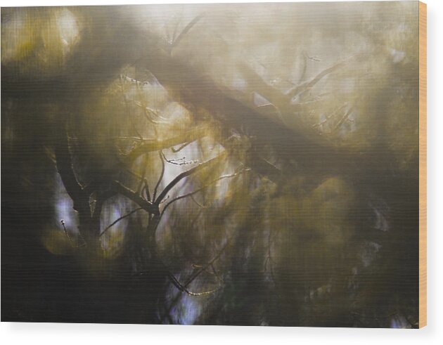 Mist Wood Print featuring the photograph Me Fuddled by Linda McRae