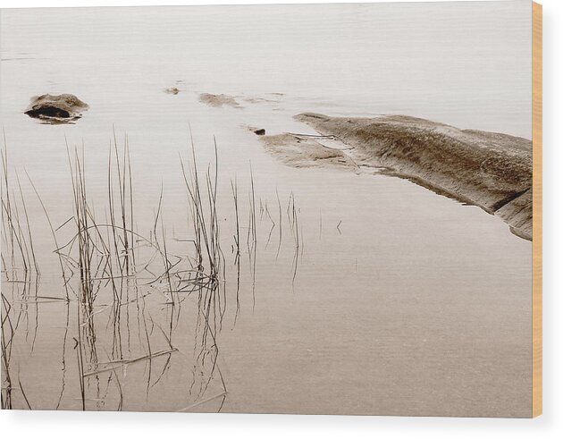 Water Wood Print featuring the photograph Peaceful Moment by Linda McRae
