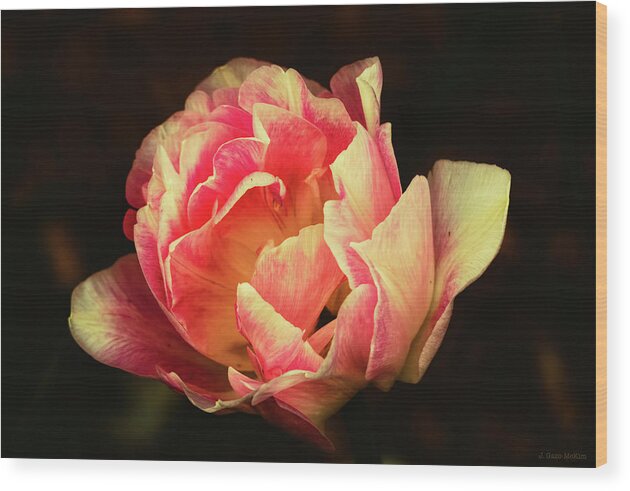 Spring Wood Print featuring the photograph Romantic Drama by Jo-Anne Gazo-McKim