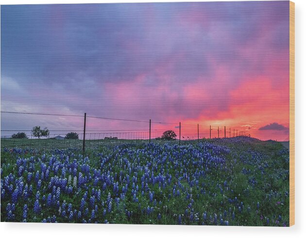 Texas Wildflowers Wood Print featuring the photograph Coming Storm II by Johnny Boyd