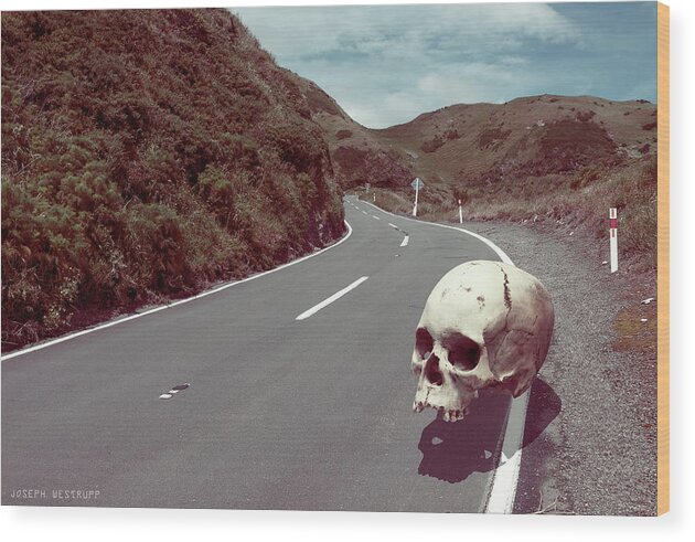 Skull Wood Print featuring the photograph Cranium Volito by Joseph Westrupp