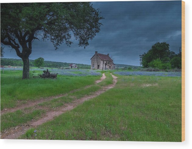 Spring Wood Print featuring the photograph Love Leads Home by Johnny Boyd