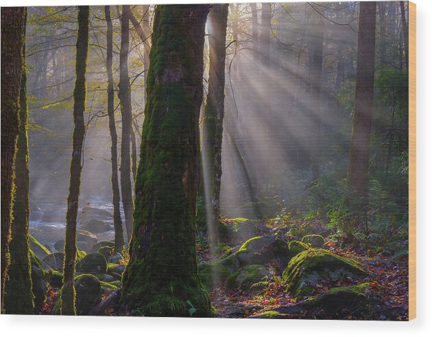 Fall Colors And Waterfall Wood Print featuring the photograph Morning Rays by Johnny Boyd