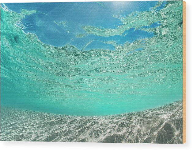 Sea Wood Print featuring the photograph Dive In 2 by Tanya G Burnett