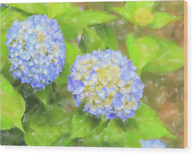 Colors Wood Print featuring the digital art Blue Hydrangea Deux Watercolor by Tanya Owens