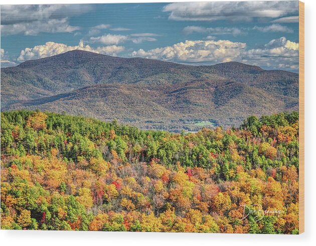Blue Ridge Wood Print featuring the photograph Blue Ridge Autumn #7096 by Dan Beauvais