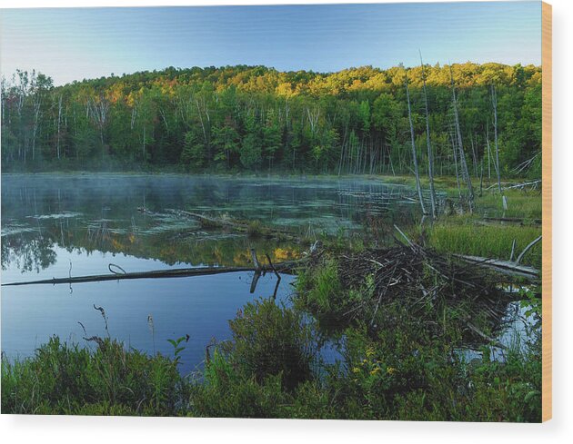 Adirondack Forest Preserve Wood Print featuring the photograph First Light by Bob Grabowski