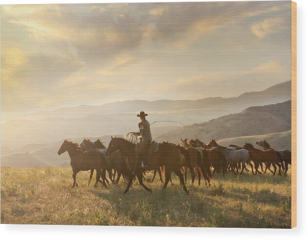 Photography Wood Print featuring the photograph Good Morning on the Range by Phyllis Burchett