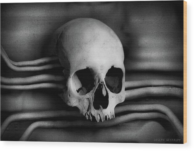 Skull Wood Print featuring the photograph Headtech by Joseph Westrupp