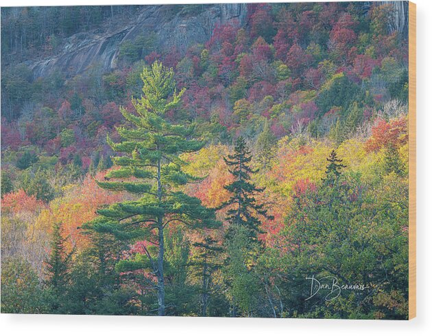 New England Wood Print featuring the photograph Ledgeside 5179 by Dan Beauvais