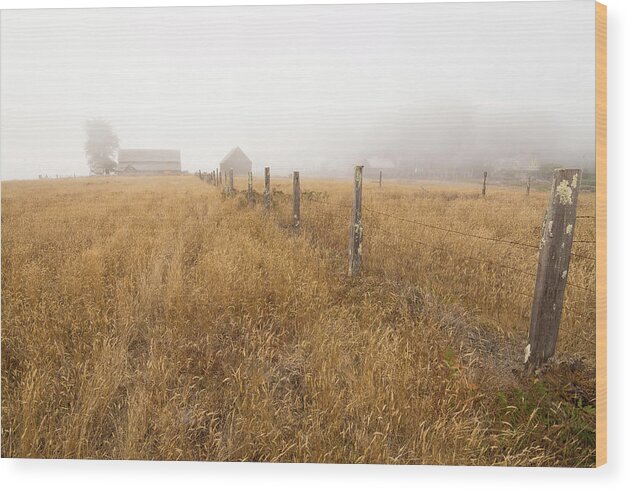 Abandoned Wood Print featuring the photograph Old cattle ranch by Mike Fusaro