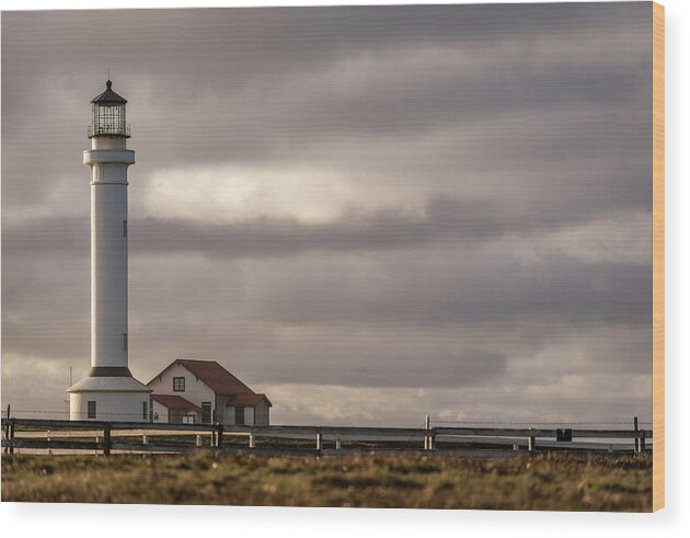 America Wood Print featuring the photograph Point Arena Lighthouse California by Mike Fusaro