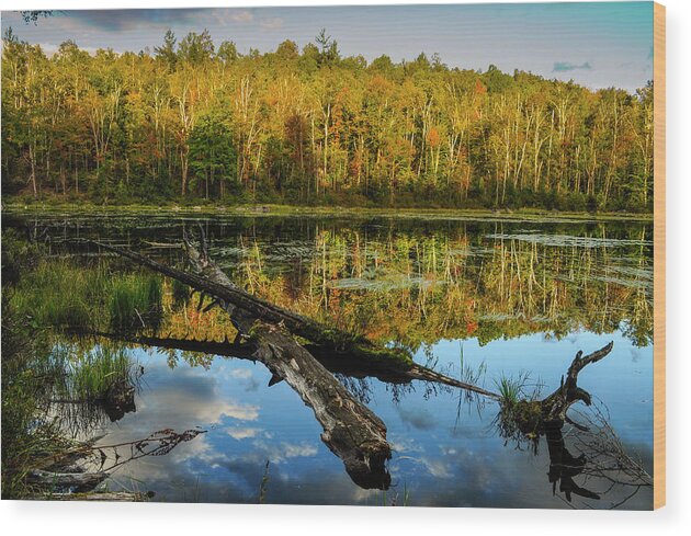 Adirondack Forest Preserve Wood Print featuring the photograph Reflections by Bob Grabowski