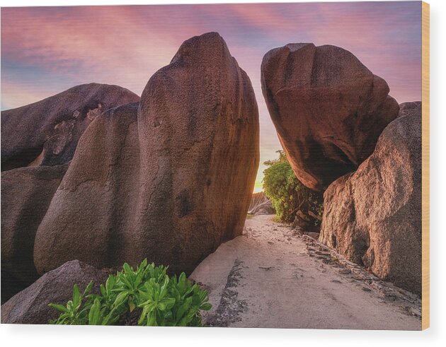 Tropical Wood Print featuring the photograph Rocks at sunset by Erika Valkovicova