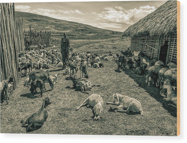 Ngorongoro Maasai Tanzania Wood Print featuring the photograph Maasai Village Ngorongoro Tanzania 4231 by Amyn Nasser