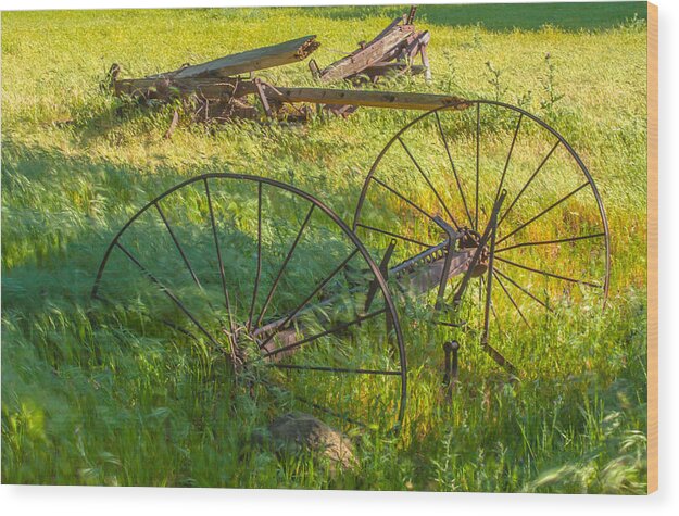 Landscape Wood Print featuring the photograph Old Wagon Axle by Marc Crumpler