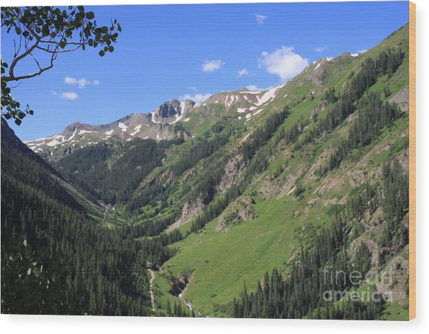 Colorado San Juan Mountains Wood Print featuring the relief Mountain Valley by Marta Alfred