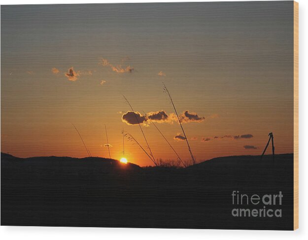 Landscape Wood Print featuring the photograph Reflections at Dusk by Everett Houser