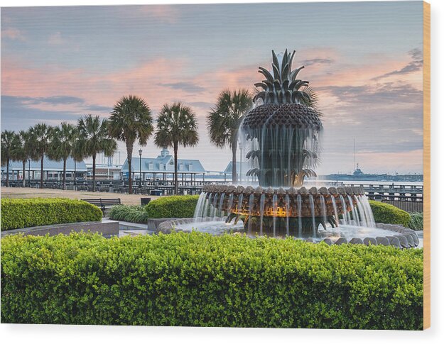 Charleston Wood Print featuring the photograph Charleston South Carolina Downtown Waterfront Park Pineapple Fountain by Mark VanDyke