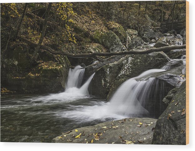 Mountain Wood Print featuring the photograph Double Flow by Ken Barrett