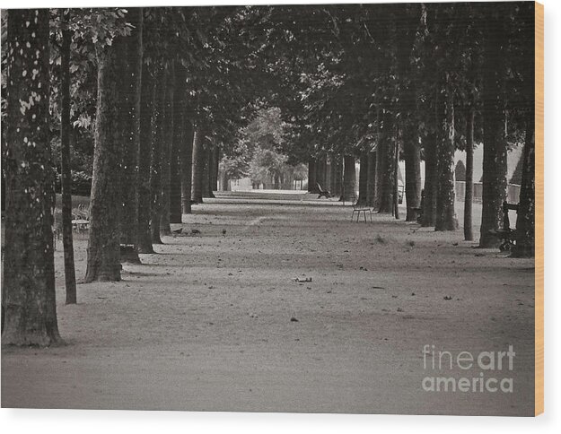 Black And White Wood Print featuring the photograph Paris, Sunday morning by Michael Ziegler