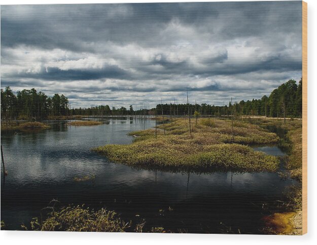 Pine Barrens Wood Print featuring the photograph Pine Barrens by Louis Dallara