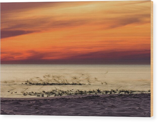 Gulf Wood Print featuring the photograph Sunset Flock by Kurt Lischka