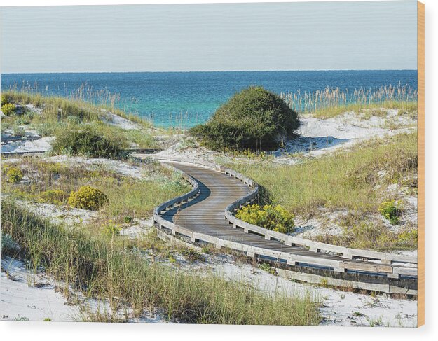 Beach Wood Print featuring the photograph WaterSound Beach Dune Boardwalk by Kurt Lischka