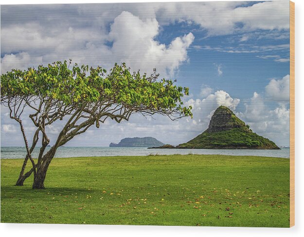 Mokolii Wood Print featuring the photograph Mokolii - Oahu, Hawaii, USA - 2011 3/10 by Robert Khoi