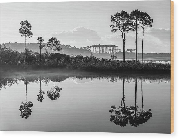 Lake Wood Print featuring the photograph Western Lake Misty Morning in Black and White by Kurt Lischka
